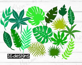 Pacchetto di file SVG con foglie tropicali: disegni botanici della giungla (download digitale)