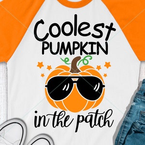 May include: White and orange raglan t-shirt with the text "Coolest Pumpkin in the patch" and a cartoon pumpkin wearing sunglasses.