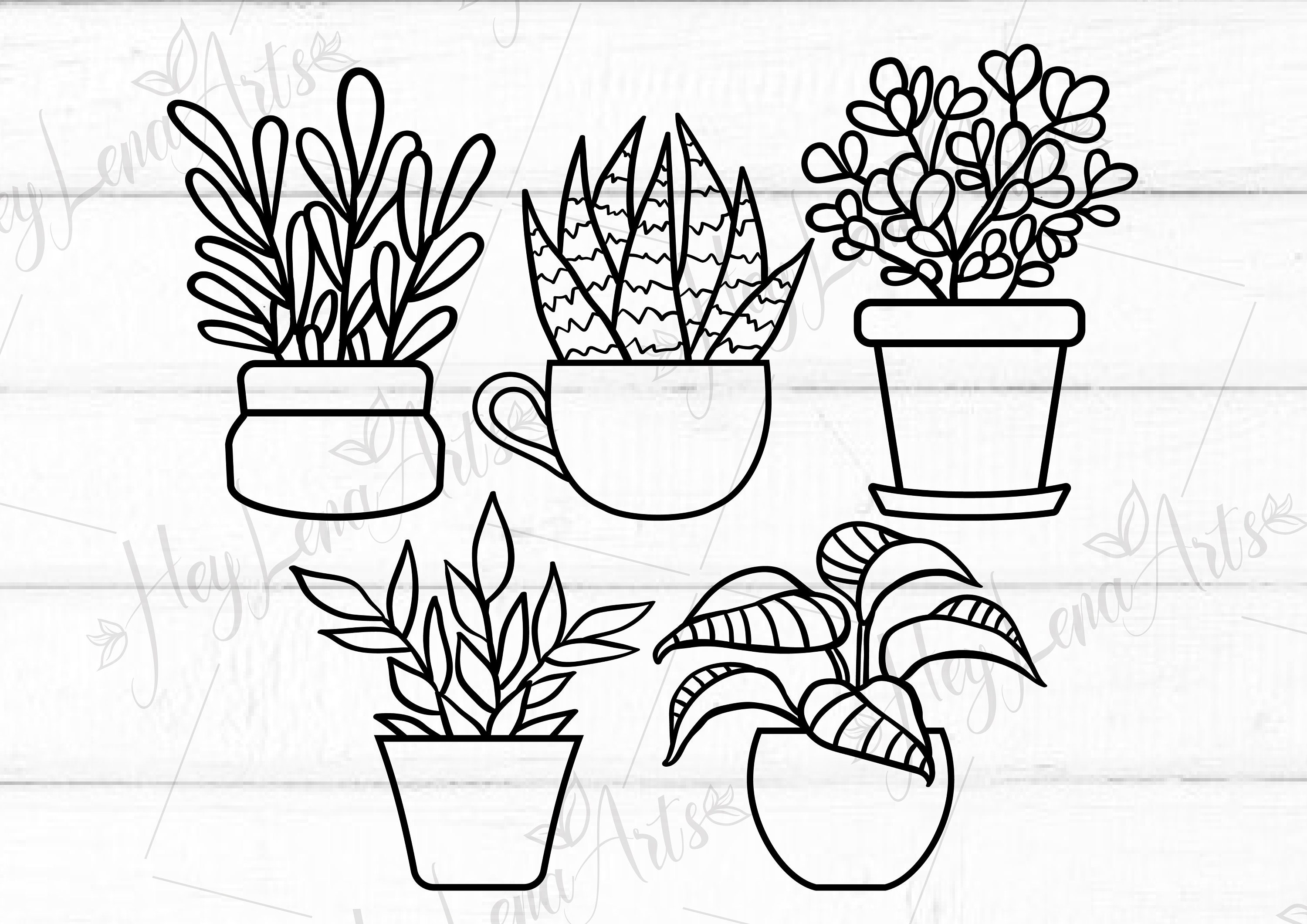 Download Plants SVG bundle svg Potted Plants svg Gardening | Etsy