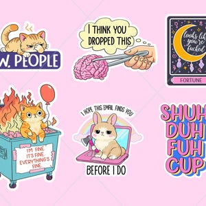 May include: A set of humorous stickers featuring cartoon illustrations and text. Designs include a grumpy cat, a brain held by tweezers, a tarot card, a cat in a burning bin, a bunny with an axe, and the text "SHUH DUH FUH CUP".