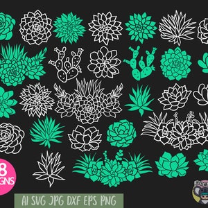 Succulentes svg, svg cactus, succulentes bundle svg, fichiers Svg pour Cricut, fichier de coupe, fichier de coupe, plante svg, fichiers dxf pour laser, png