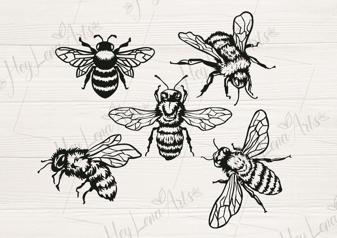 Bee Svg Bundle, Honey Bee Svg, Bumble Bee Svg, Bee Kind Svg, Save the