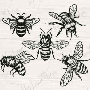 Pacchetto svg ape, svg ape mellifera, svg ape calabrone, svg tipo ape, svg salva le api, maglietta, file SVG per cricut, file di taglio, file DXF, eps png