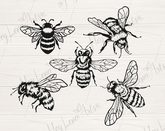 Bee svg bundle, Honey Bee svg, Bumble Bee svg, Bee Kind svg, Save the Bees svg, shirt, Svg Files for cricut, cut file, dxf files, eps png