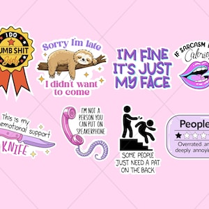 43 Sarcastic Funny Printable Sticker Designs Bundle, Quotes Sublimation Sarcastic Snarky Clipart image 6