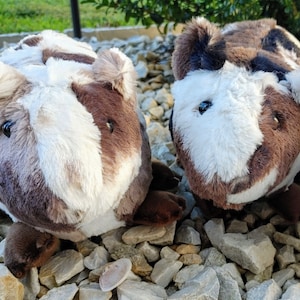 May include: Two brown and white plush toys shaped like guinea pigs. The toys have black eyes and are sitting on a bed of small gray rocks.