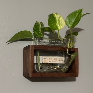 May include: A potted plant with variegated leaves in a clear glass bottle, mounted on a wooden shelf. The bottle is labeled "Woodford Reserve Kentucky Straight Bourbon Whiskey".