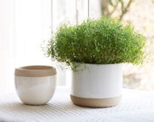 Set of 2 White Ceramic Flower Plant Pots 6.5 Inch - Indoor Planters, Plant Containers with Beige and Cracked Detailing