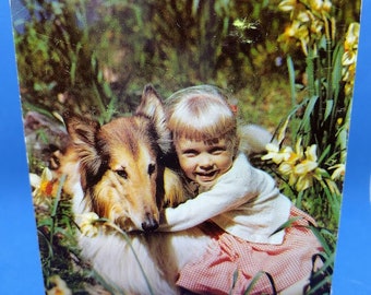 Vintage Photochrome Postcard, Dexter Press, c. 1950s-1960s