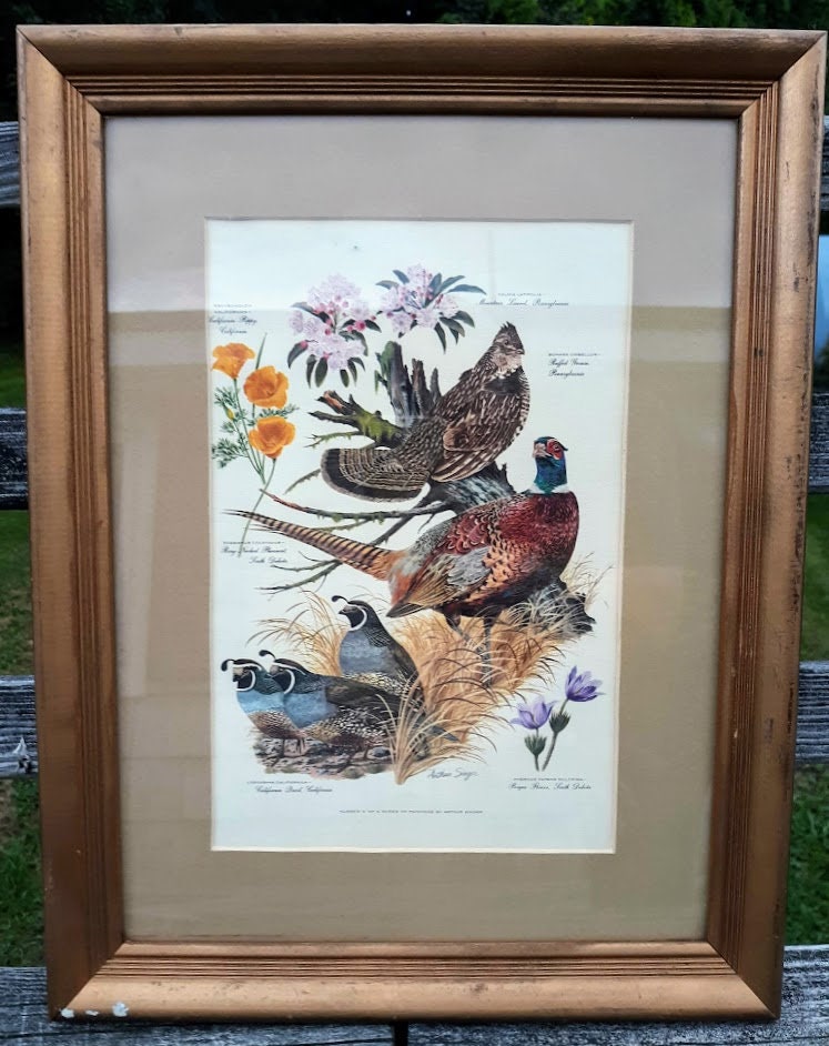 絵画（要本文参照) Vintage Framed and Matted Print, 'number 3 of A Series of