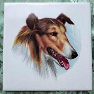 May include: Square ceramic tile featuring a detailed illustration of a Collie dog's head. The dog has brown and white fur, a pink tongue, and a black nose. The background is a light blue oval. The tile is white.