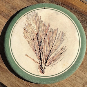 May include: Round ceramic coaster with a green border and a detailed illustration of a pine branch. The center features a beige background with the brown and tan pine needles and cone. The coaster has a small hole at the top for hanging.