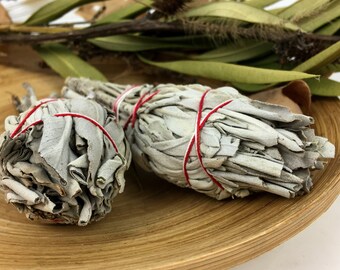 White sage Smudge - natural incense sage - Californian Sage with cleansing and refreshing fragrance - Suitable for cerimonies - 12x3 cm