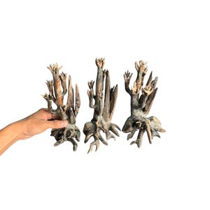 May include: Three brown and gray wooden sculptures of trees with intricate branches and roots.