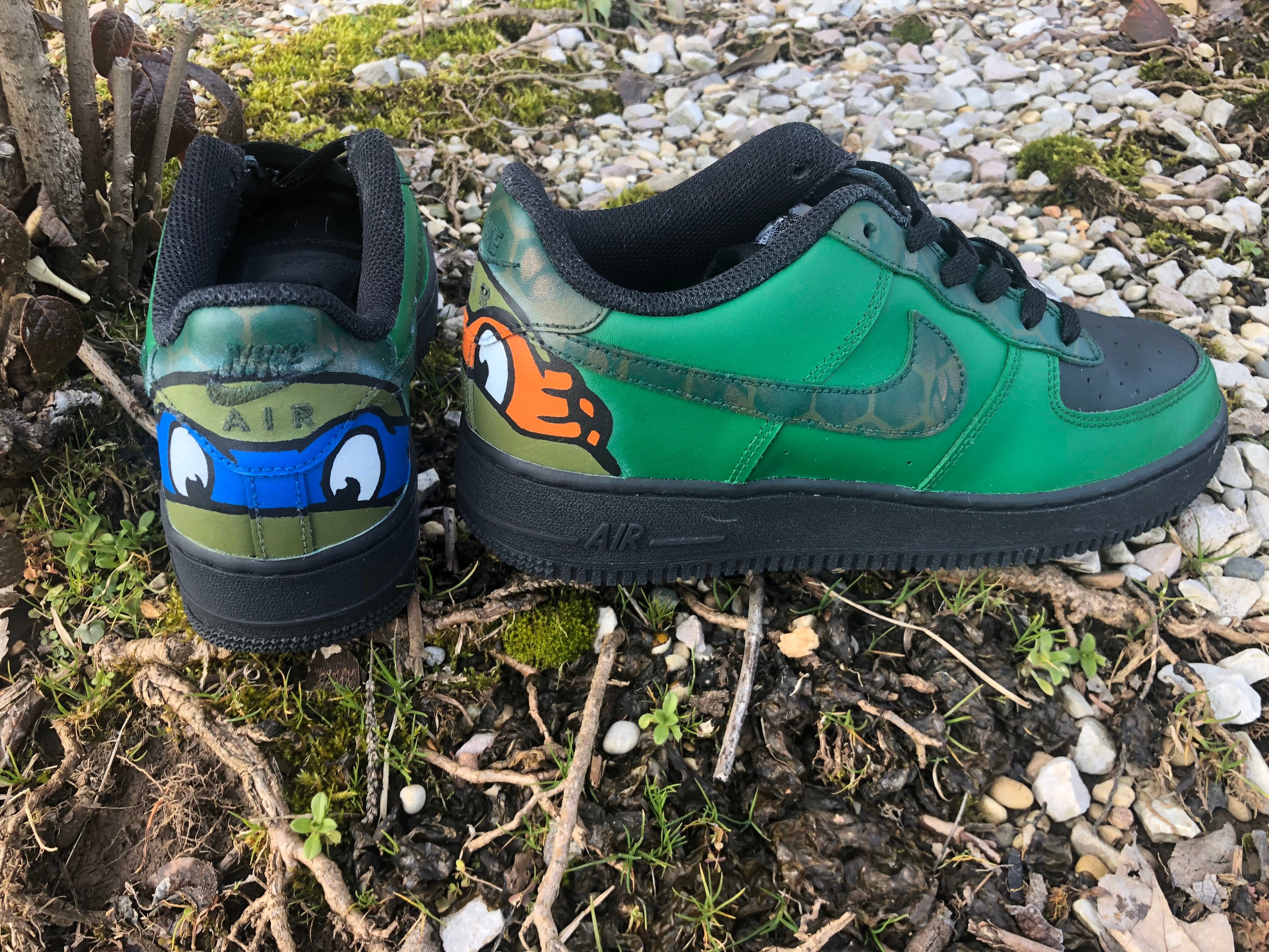 turtle air force 1