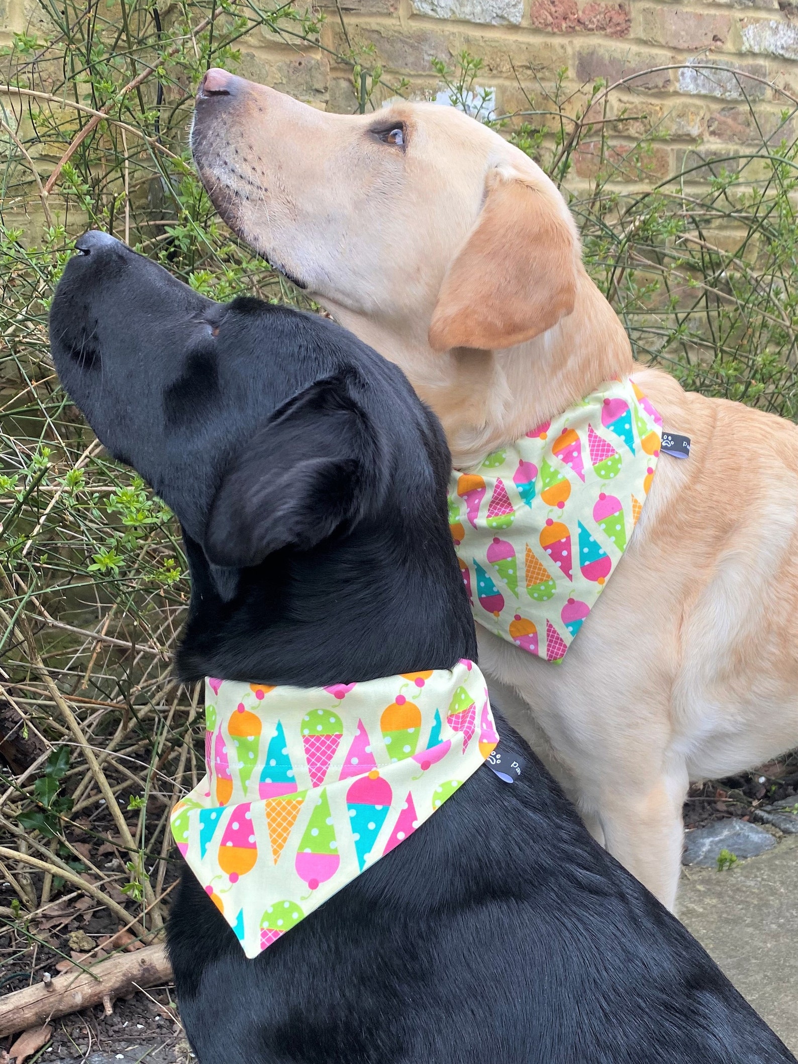 Bandanas for Dogs Dog Neckerchief Over the Collar Bandana Etsy UK