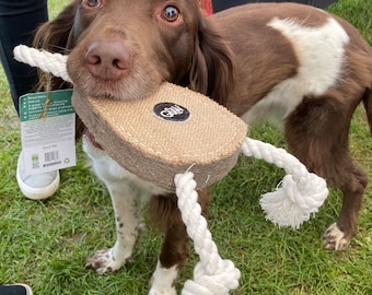 May include: A brown and white dog with a white rope toy in its mouth. The toy has a brown and tan fabric piece attached to it. The dog is standing on green grass.