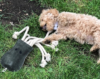 May include: A light brown dog with curly fur is lying on its back on green grass. The dog is playing with a green and white rope toy. The toy has a green pouch with a black cat face on it.