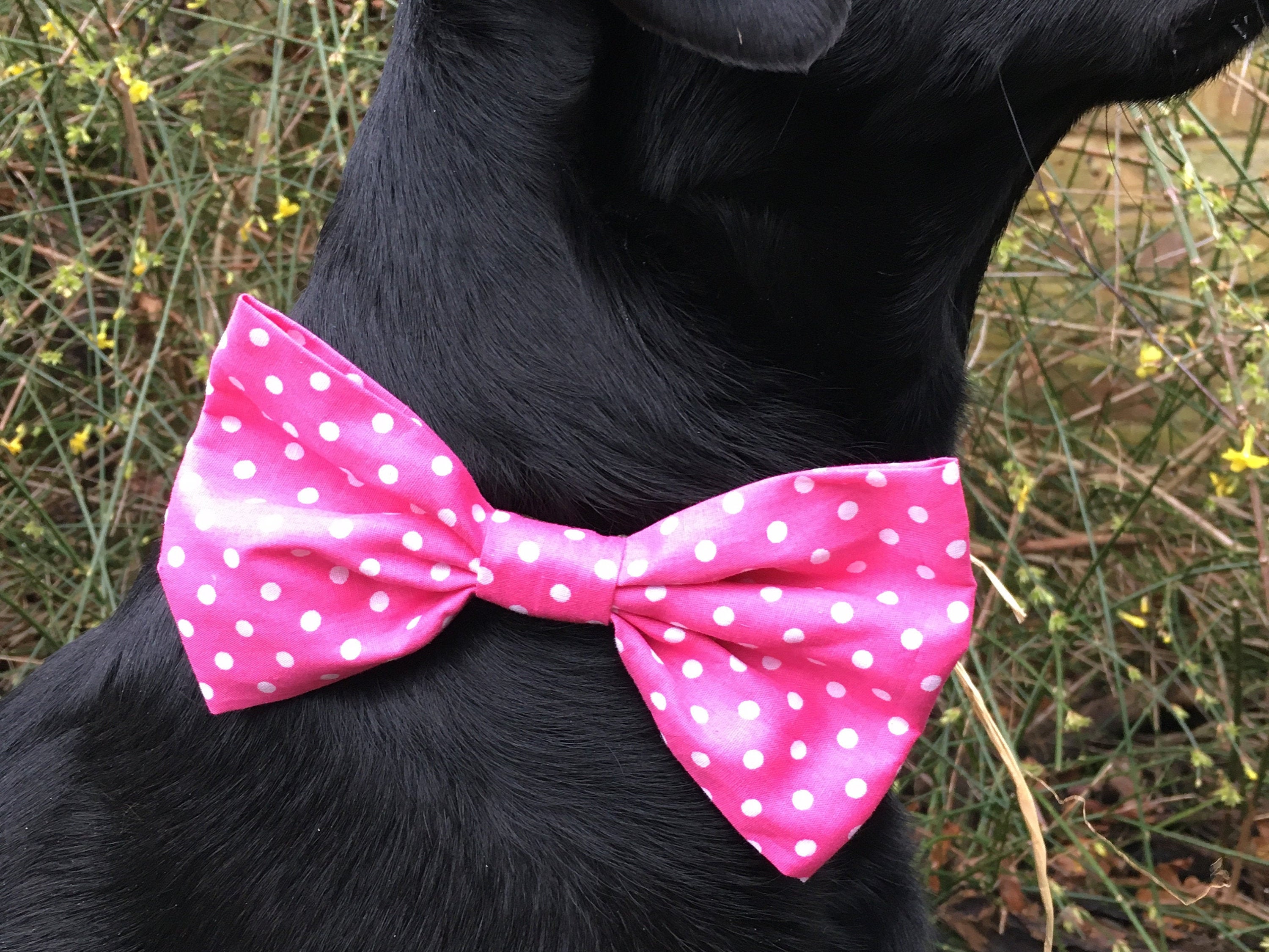 Bow tie for dogs pink polka dot dog bow puppy present slip Etsy