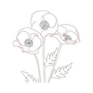 Mohnblumen-Trio SVG-Design - Skizze Zeichnungen - Skizzenstift SVG - Folien Quill SVG - Einzeilige Blumen - Silhouette-Datei - SVG-Datei-Download