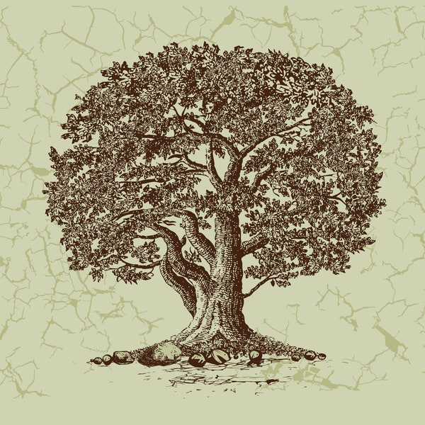 Oak Tree in Vector