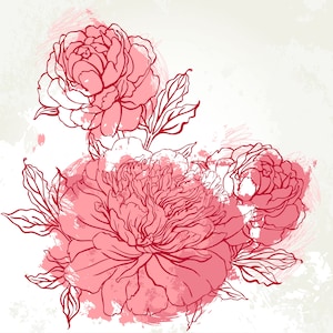 Vintage Peony Floral Designs