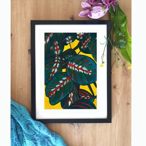Prayer plant tropical leaf giclee print - maximalist dopamine decor for plant parents - maranta exotic leafy houseplant - housewarming gift