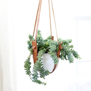 Small Flourish Leather Plant Hanger |  indoor plant hanger home decor gardening gift plant lover plant accessories home garden