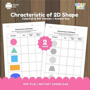 Characteristics of 2D Shapes Worksheet - Geometry Activity with Answer Key