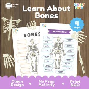 May include: Educational printable featuring a skeletal system diagram with labeled bones. The text "Learn About Bones" is displayed prominently. Includes the phrases "Digital File", "4 Pages", "Clean Design", "No Prep Activity", and "Print & GO".