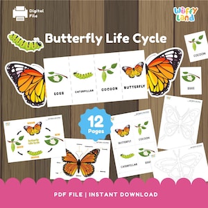 Butterfly Life Cycle Printable | Fun Science Zoology Activities for Homeschool, Classroom, Kids Learning, Insect Study, PDF Download