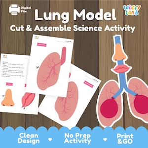 Pode incluir: Um conjunto de atividades científicas com um modelo de pulmão. A imagem mostra diagramas de pulmões recortados, um nariz e uma boca, juntamente com o texto "Lung Model" e "Cut & Assemble Science Activity". O design é limpo e pronto para imprimir e usar.