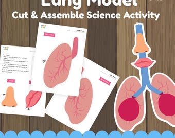 Utskrivbar lungmodell för barn | Aktivitet med människokroppen, andningssystemet, arbetsblad | Klipp och montera anatomipyssel, hemundervisning i biologi
