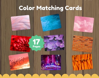 Coloring Matching Cards, Printable Matching Color, Flashcard Activity, Birthday, Logic Game, Homeschool, Distance Learning,