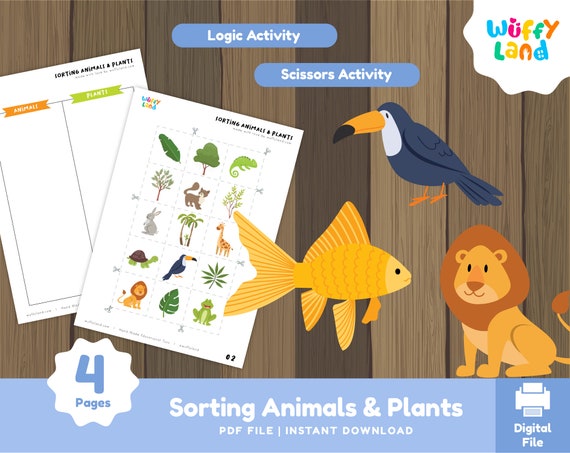 Sorting Animals & Plants on the Land and on the Water Animal - Etsy Sorting Animals & Plants on the Land and on the Water Animal - Etsy
