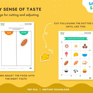 Sense of Taste Games Sorting Food Based on Taste Homeschool - Etsy