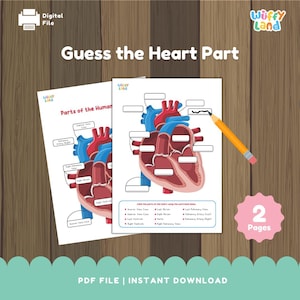 Human Heart Diagram Worksheet – Guess the Heart Part Science Activity - Labeling & Quiz PDF