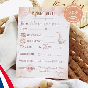 Carte Baby Shower pronostics Rose à imprimer / Carte prédiction naissance bébé gender reveal - PDF imprimable