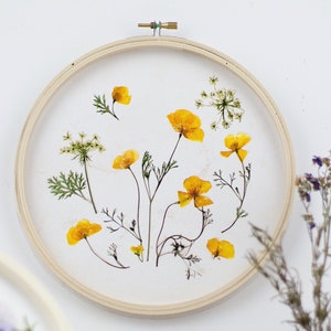 Pressed Yellow Poppy California State Flower - Photograph Print Rustic Embroidery Hoop, Minimalist Floral Wall Art