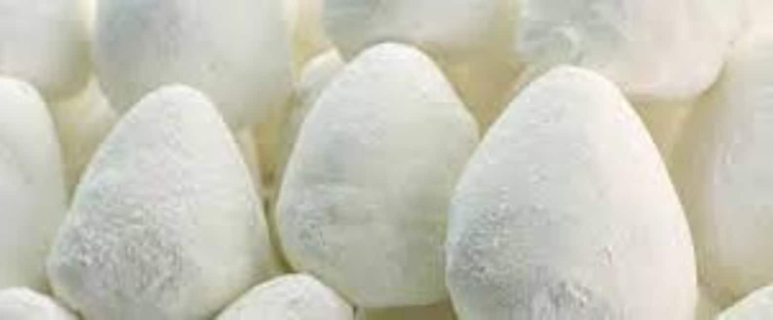 Jameed Arab Food 100 hand made From The Vilage Of Karak Etsy