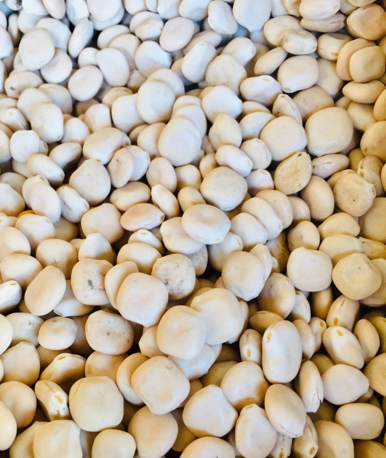 Organic Lupin Bitter Lupine sweet lupin lupini beans Etsy