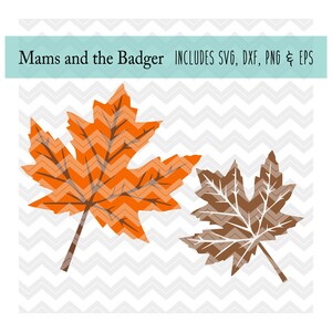 Autumn Leaf svg, Maple Leaf Vector, Fall Leaves Cut File, Fall Leaf Clip Art, Silhouette Cameo, Design Space, Cricut Download, dxf png eps