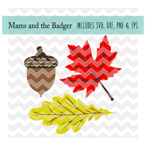 May include: Three autumn leaves in a digital illustration. A brown acorn, a red maple leaf, and a yellow oak leaf.