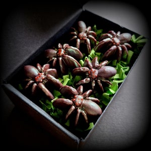 Arachnophobia Spider Soy Wax Melts, Gothic Spooky Gifts, Vegan Wax Melts, Highly Scented Wax Melts, Perfume Wax Tarts,