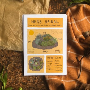 Infographie sur la spirale des herbes | Carte postale imprimée A6