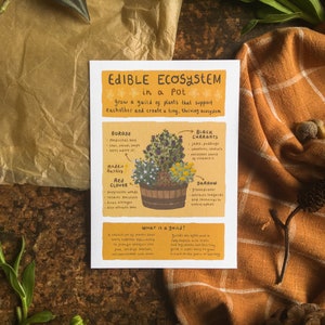 Infográfico de ecossistema comestível | Cartão postal com impressão artística A6