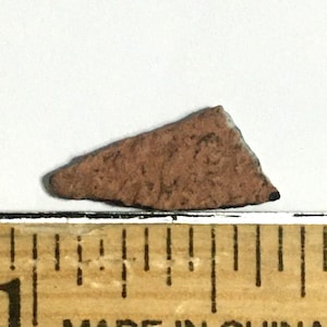 Genuine Dinosaur eggshell - Ovi-raptor species