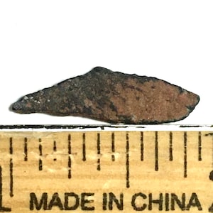 Genuine Dinosaur eggshell - Ovi-raptor species