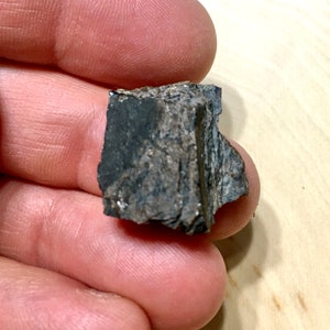 Cretaceous Dinosaur Bone - Judith River Formation