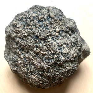 Large Cretaceous Dinosaur Bone - Hell Creek